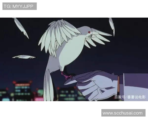 2018年10月18日鲁哥与艾科坎的精彩对决回顾与分析